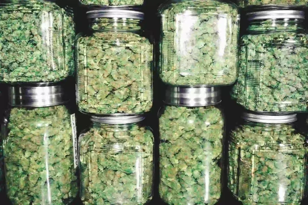 Neurotransmitter und das Endocannabinoid-System
