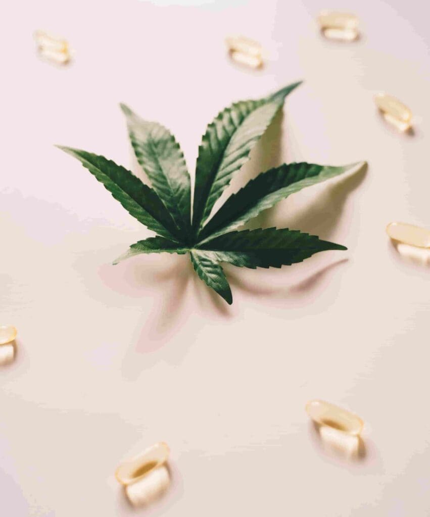Cannabissorten 
