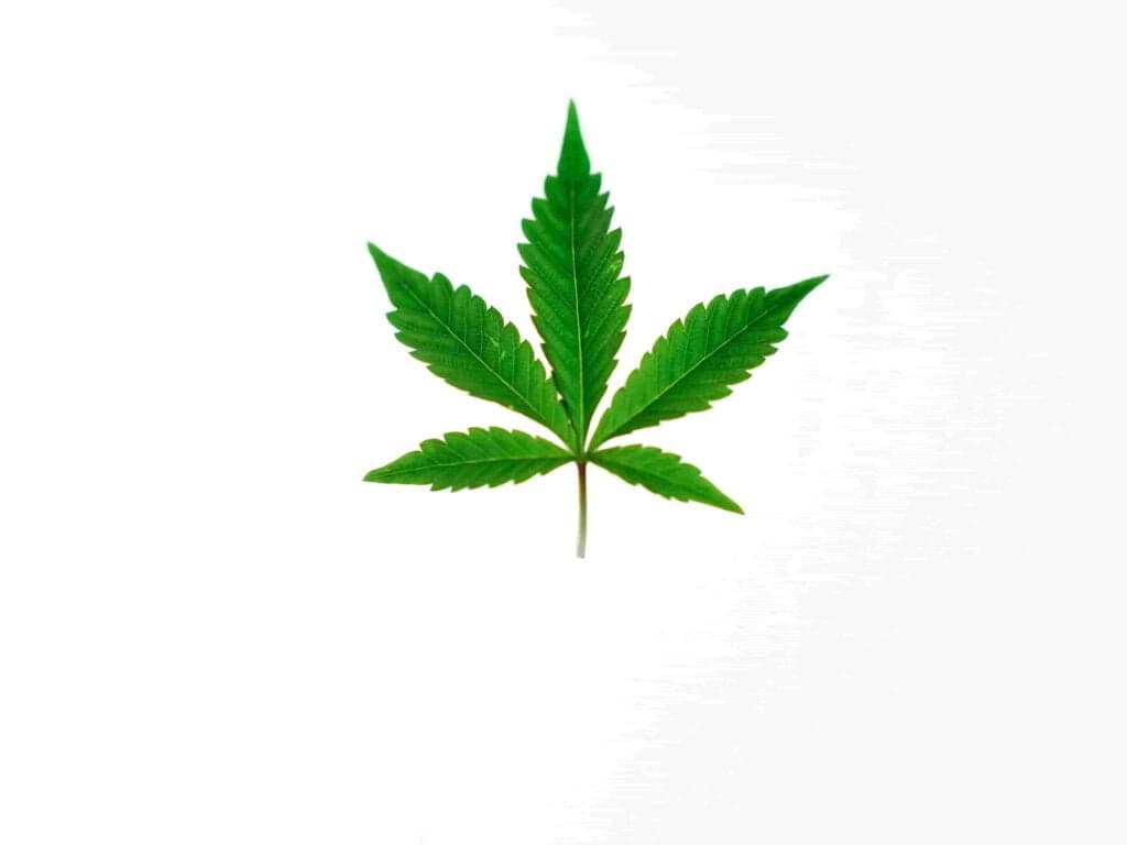 Cannabisrezept krankenkasse