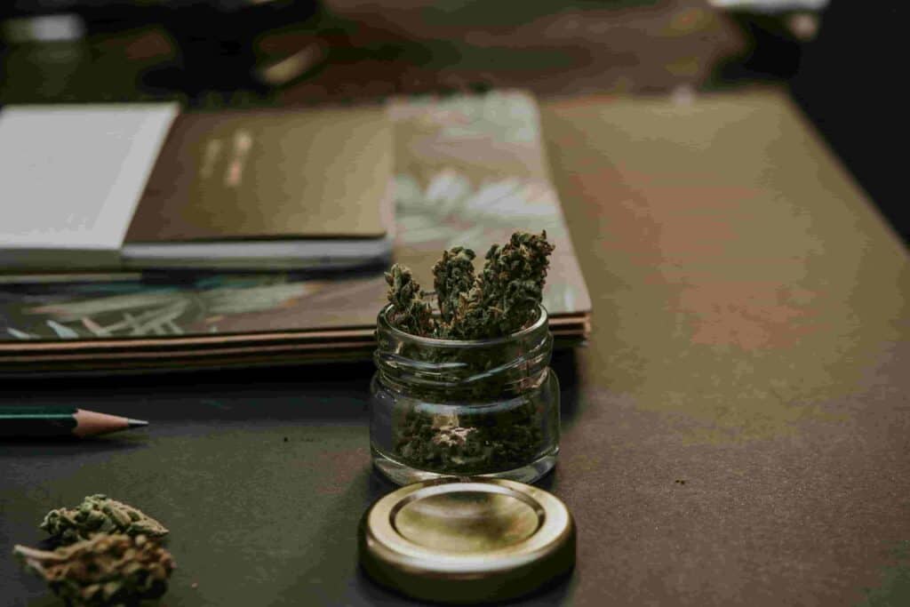 cannabis social clubs cannabis social clubs
